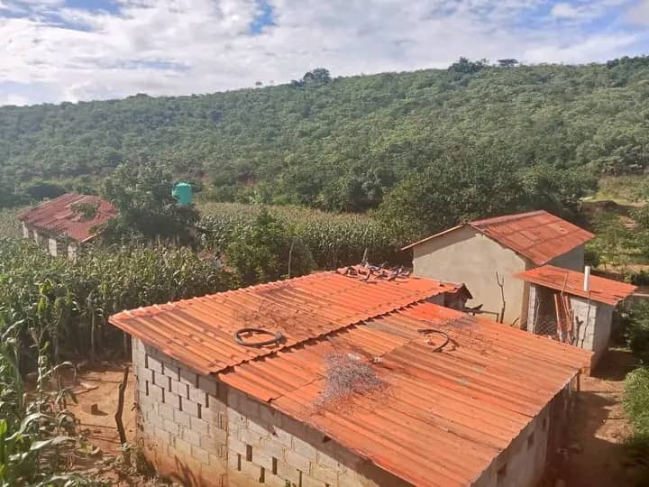 Developed_Farm_Land_in_Kafue-gallery-3