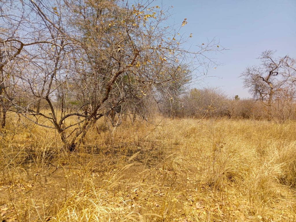 FARMLAND_FOR_SALE-cover-2