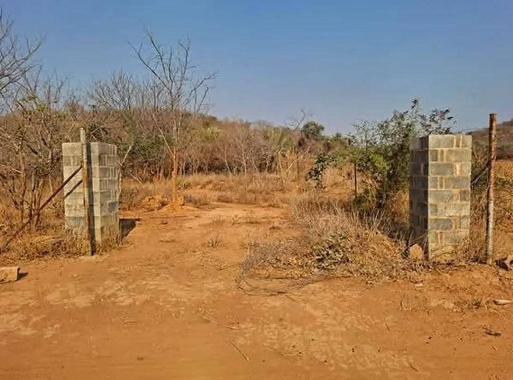 FARMLAND_FOR_SALE-cover-4