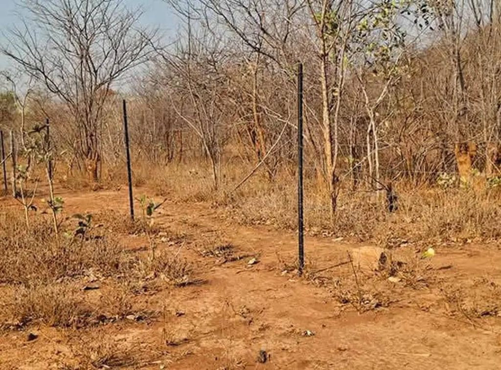 FARMLAND_FOR_SALE-gallery-1-1