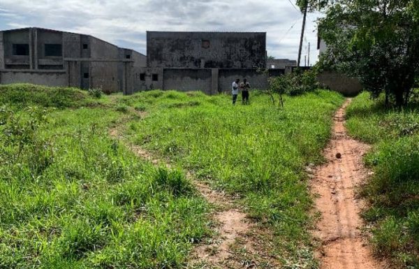 Land_for_Lease-cover