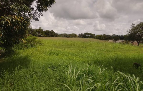 PLOT_FOR_SALE-cover-1