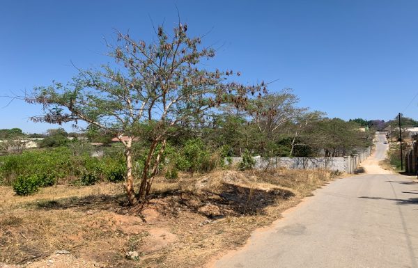 Prime_Plot_1_in_Ibex_Hill_Main_Street-cover