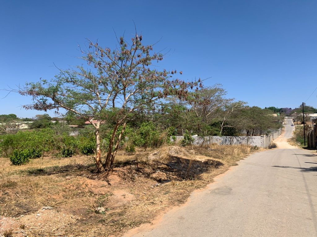 Prime_Plot_1_in_Ibex_Hill_Main_Street-gallery-2